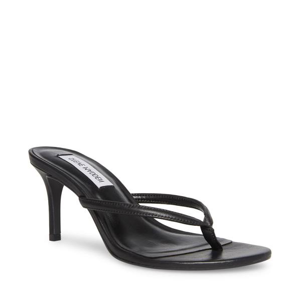 Steve Madden Addyson Lær Heel Høye Hæler Dame Svarte | SM-605LY