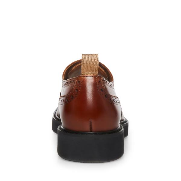 Steve Madden Adrick Cognac Lær Pensko Herre Brune | SM-145BT