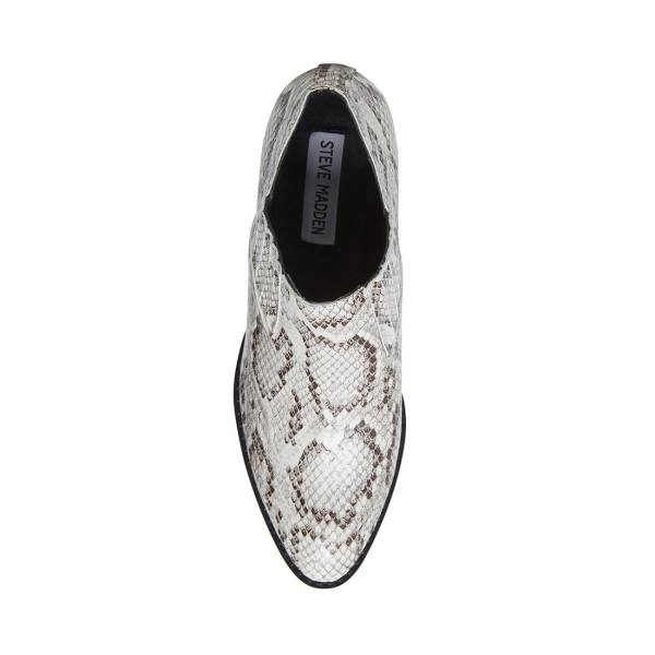 Steve Madden Barnett Snake Ankelstøvletter Dame Svarte Hvite Slangeprint | SM-310MU