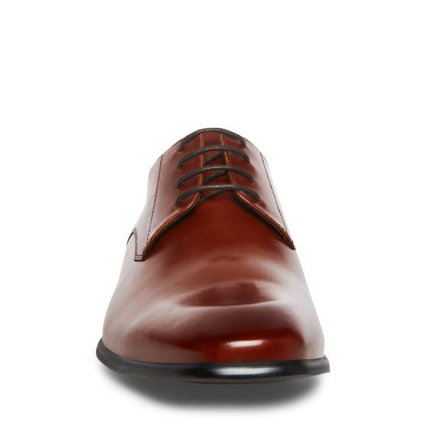 Steve Madden Beaux Cognac Lær Pensko Herre Brune | SM-230VD