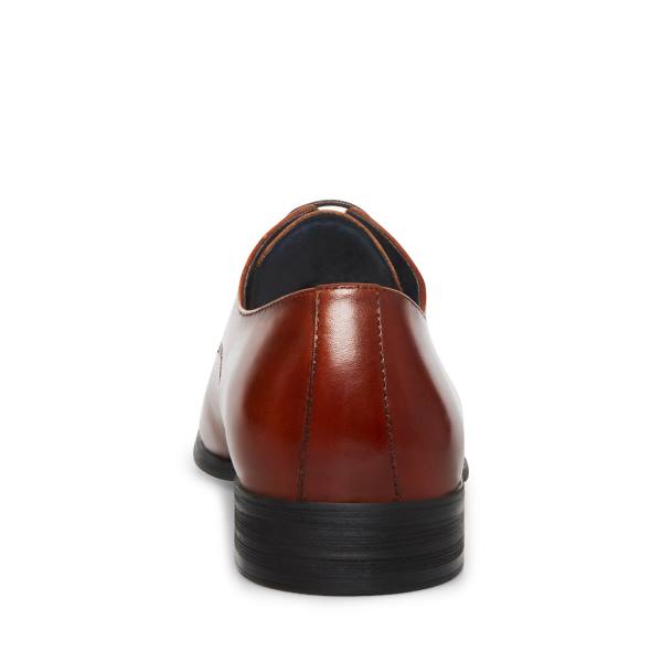 Steve Madden Beaux Cognac Lær Pensko Herre Brune | SM-230VD