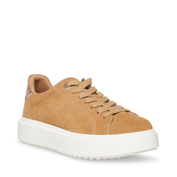 Steve Madden Catcher Taupe Semsket Skinn Joggesko Dame Grå Brune | SM-593NA