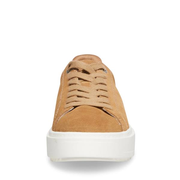 Steve Madden Catcher Taupe Semsket Skinn Joggesko Dame Grå Brune | SM-593NA