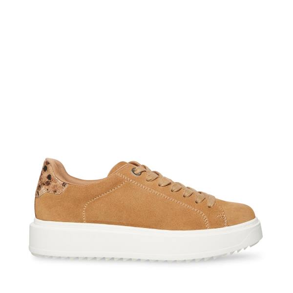 Steve Madden Catcher Taupe Semsket Skinn Joggesko Dame Grå Brune | SM-593NA