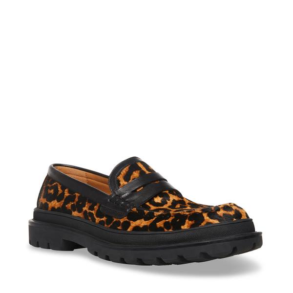 Steve Madden Charles Leopard Loafers Herre Leopard | SM-901JK