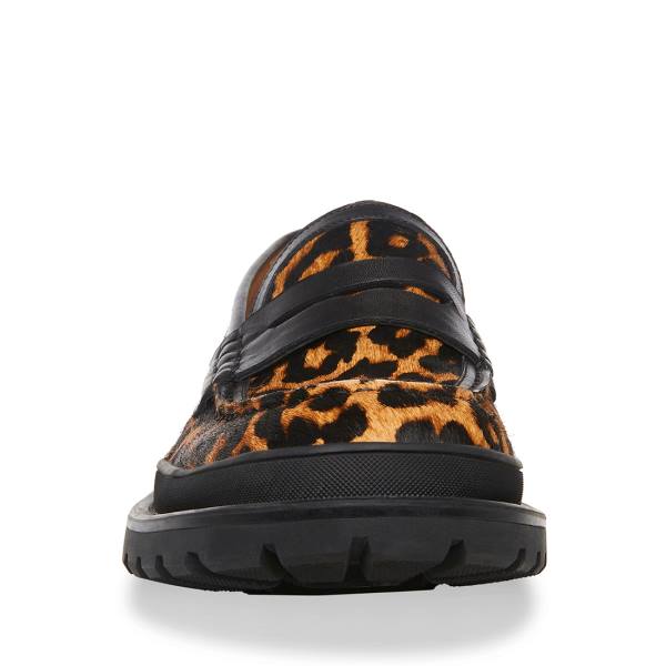 Steve Madden Charles Leopard Loafers Herre Leopard | SM-901JK