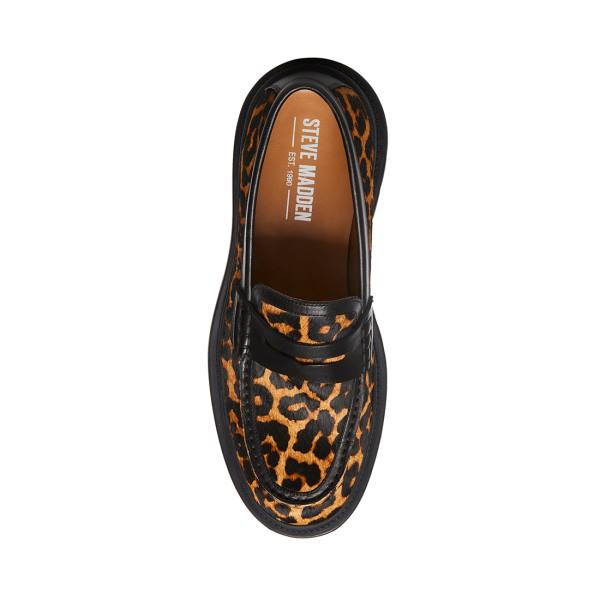 Steve Madden Charles Leopard Loafers Herre Leopard | SM-901JK