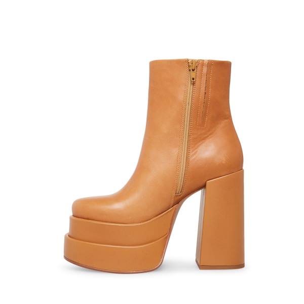 Steve Madden Cobra Tan Lær Ankelstøvletter Dame Brune | SM-182XO