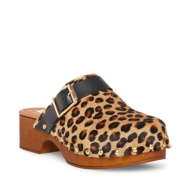 Steve Madden Dana-p Leopard Heel Høye Hæler Dame Leopard | SM-297EZ