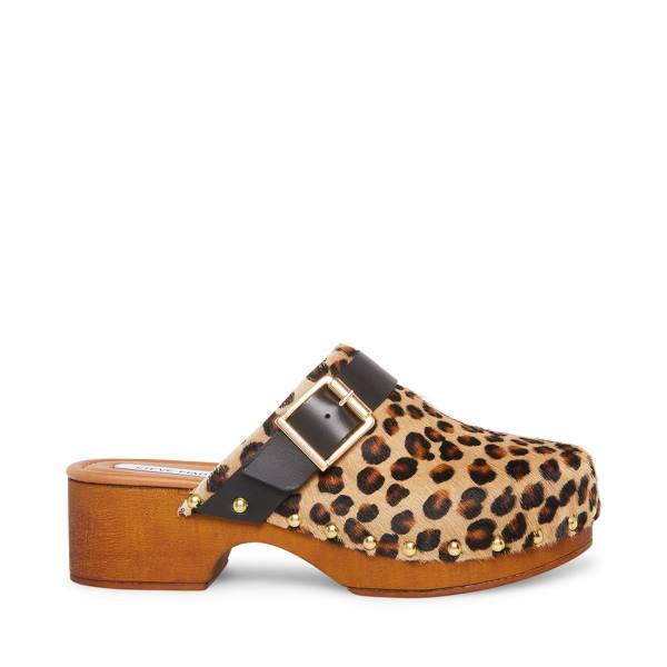 Steve Madden Dana-p Leopard Heel Høye Hæler Dame Leopard | SM-297EZ