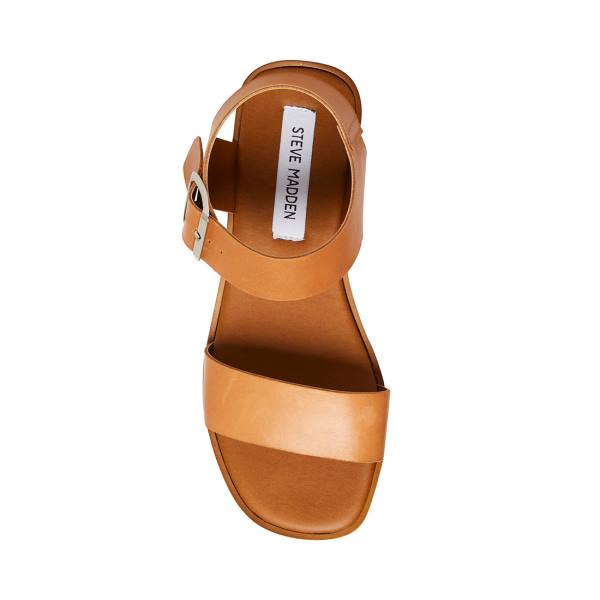 Steve Madden Destined Tan Lær Sandaler Dame Brune | SM-415GL