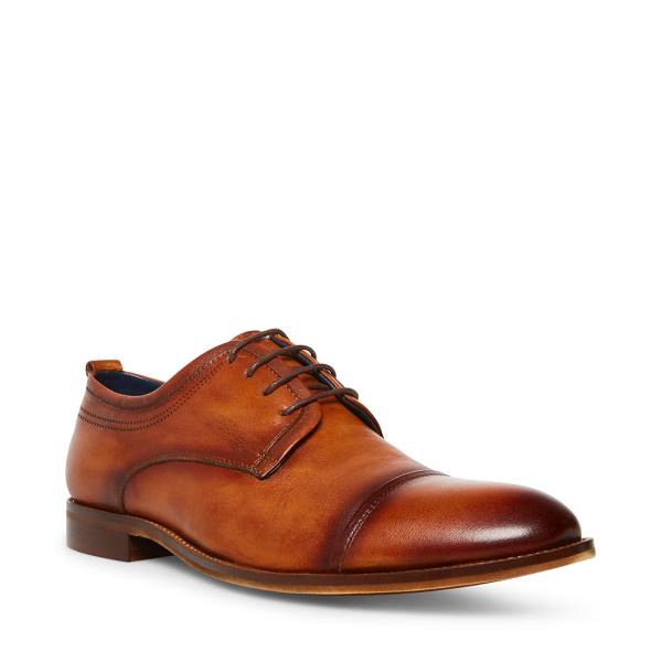 Steve Madden Doak Cognac Lær Pensko Herre Brune | SM-186CY