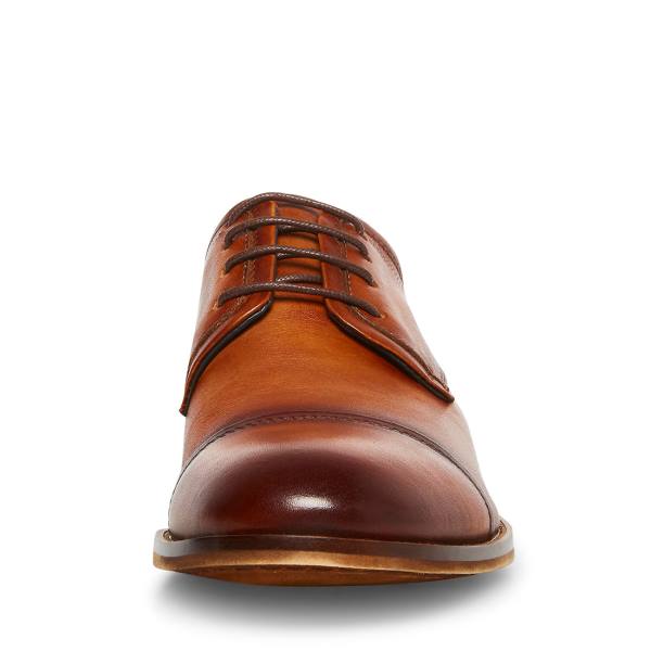 Steve Madden Doak Cognac Lær Pensko Herre Brune | SM-186CY