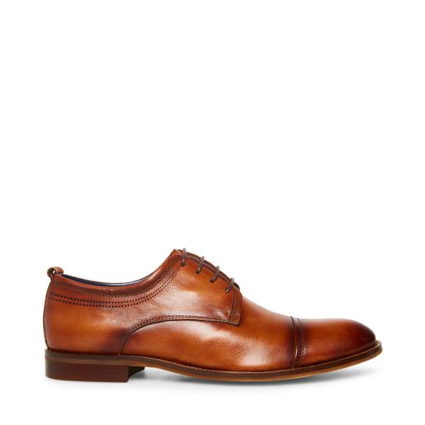 Steve Madden Doak Cognac Lær Pensko Herre Brune | SM-186CY