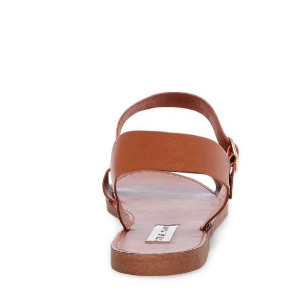 Steve Madden Donddi Tan Lær Sandaler Dame Brune | SM-586KN