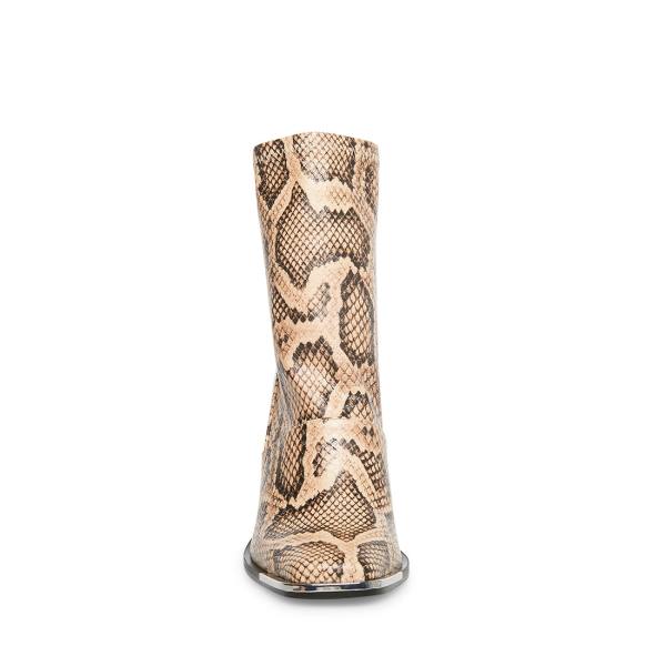 Steve Madden Excess Natural Snake Ankelstøvletter Dame Beige Slangeprint | SM-189CL