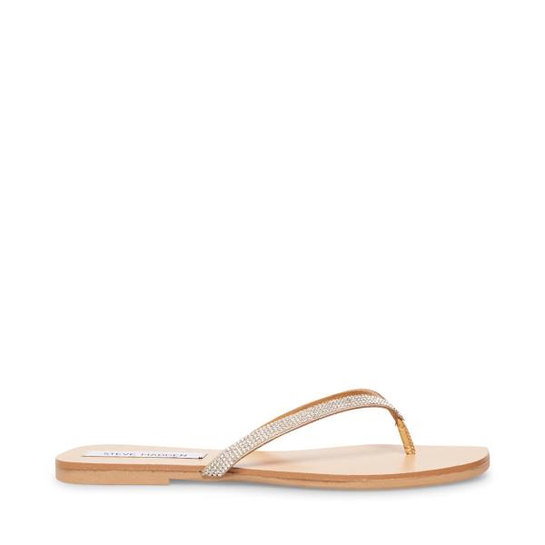 Steve Madden Fairlie-r Sandaler Dame Diamond | SM-507XD