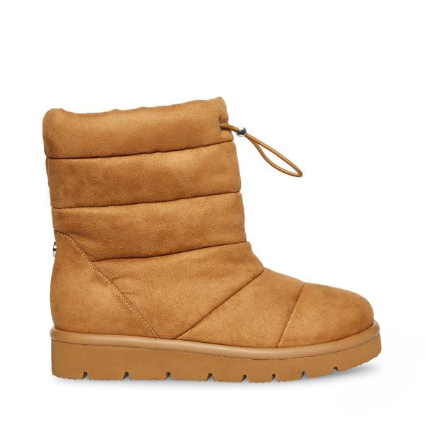 Steve Madden Icy Chestnut Støvler Dame Brune | SM-372IO