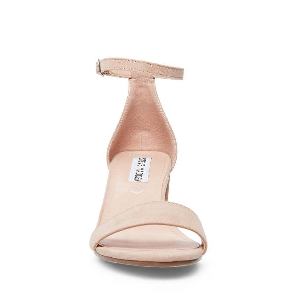 Steve Madden Jcarrson Blush Høye Hæler Barn Rosa | SM-382AM