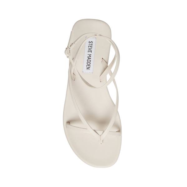 Steve Madden Juno Bone Sandaler Dame Beige | SM-486QS