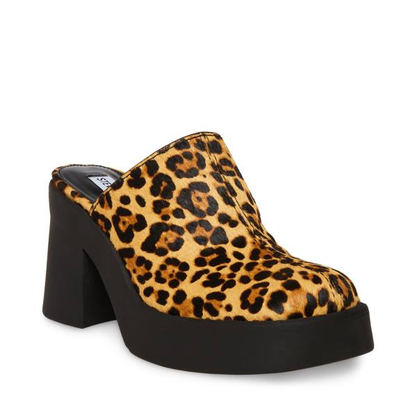 Steve Madden Kam Leopard Heel Høye Hæler Dame Leopard | SM-250TE