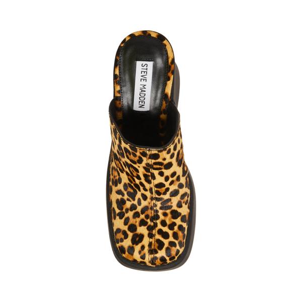 Steve Madden Kam Leopard Heel Høye Hæler Dame Leopard | SM-250TE