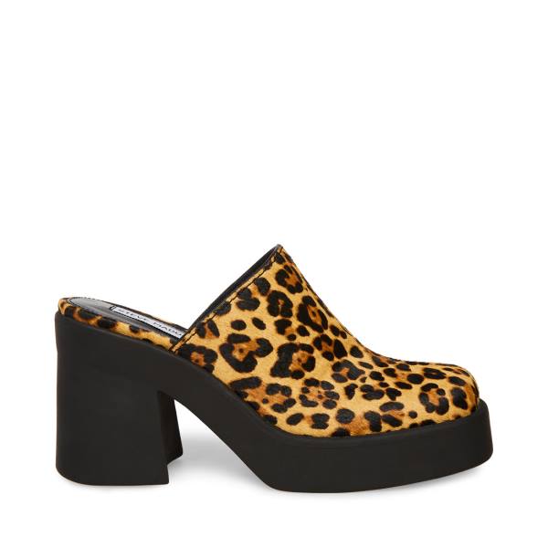 Steve Madden Kam Leopard Heel Høye Hæler Dame Leopard | SM-250TE