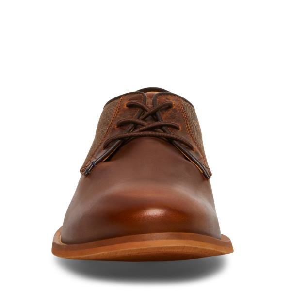 Steve Madden Lad Cognac Lær Pensko Herre Brune | SM-284FC