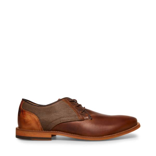 Steve Madden Lad Cognac Lær Pensko Herre Brune | SM-284FC