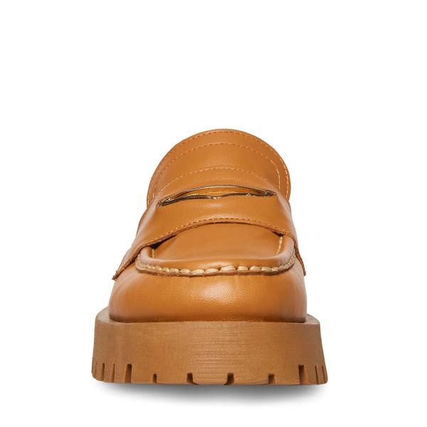 Steve Madden Lawrence Cognac Lær Loafers Dame Brune | SM-236BX