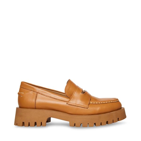 Steve Madden Lawrence Cognac Lær Loafers Dame Brune | SM-236BX