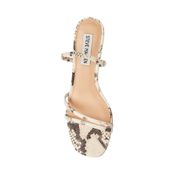 Steve Madden Loft Snake Heel Høye Hæler Dame Beige Slangeprint | SM-259LU