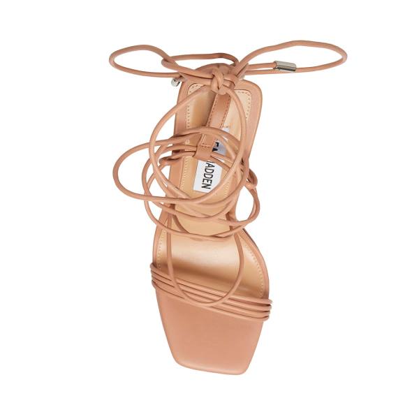 Steve Madden Manzie Tan Heel Høye Hæler Dame Brune | SM-860GW