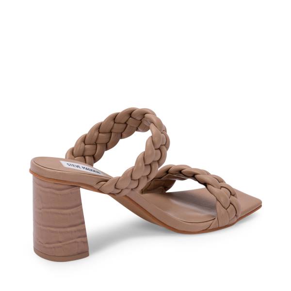 Steve Madden Paxton Cafe Heel Høye Hæler Dame Brune Brune | SM-569RP