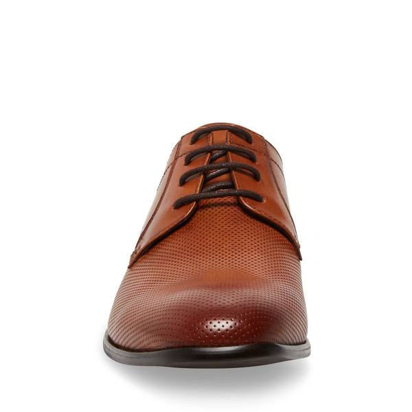 Steve Madden Perris Cognac Lær Pensko Herre Brune | SM-859LK