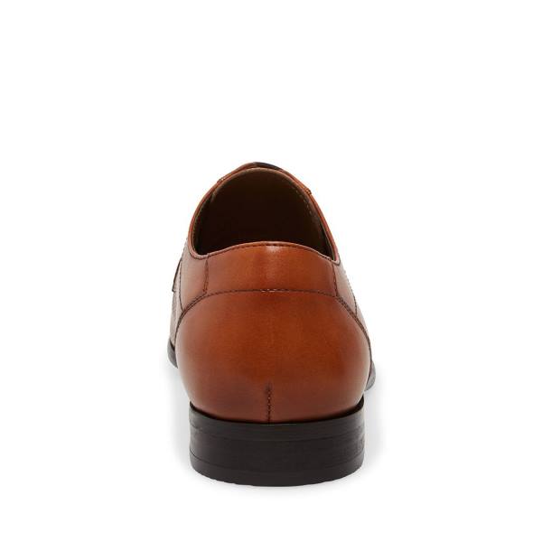 Steve Madden Perris Cognac Lær Pensko Herre Brune | SM-859LK