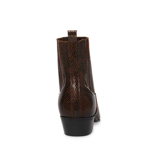 Steve Madden Pierre Snake Støvler Herre Brune Slangeprint | SM-518JU