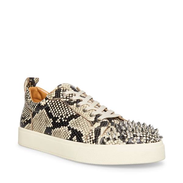 Steve Madden Portall Natural Snake Joggesko Herre Beige Slangeprint | SM-076NU