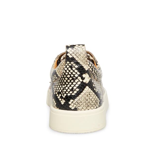 Steve Madden Portall Natural Snake Joggesko Herre Beige Slangeprint | SM-076NU