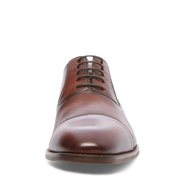 Steve Madden Proctor Tan Lær Pensko Herre Brune | SM-854DP