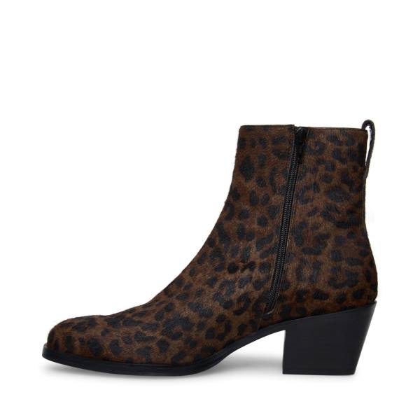 Steve Madden Richie Leopard Støvler Herre Leopard | SM-794HO