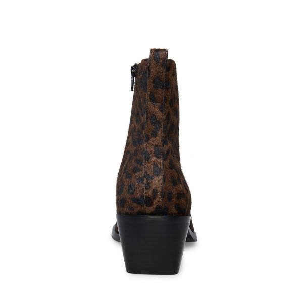 Steve Madden Richie Leopard Støvler Herre Leopard | SM-794HO