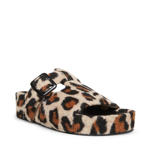 Steve Madden Rizzle Leopard Tøfler Dame Leopard | SM-670AT