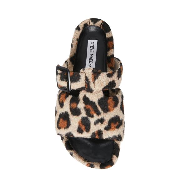 Steve Madden Rizzle Leopard Tøfler Dame Leopard | SM-670AT