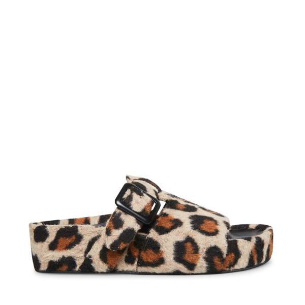 Steve Madden Rizzle Leopard Tøfler Dame Leopard | SM-670AT