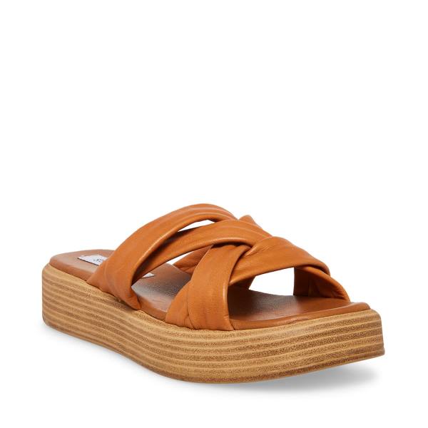 Steve Madden Salita Tan Lær Sandaler Dame Brune | SM-397GM