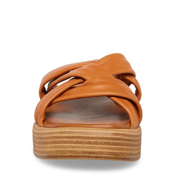 Steve Madden Salita Tan Lær Sandaler Dame Brune | SM-397GM