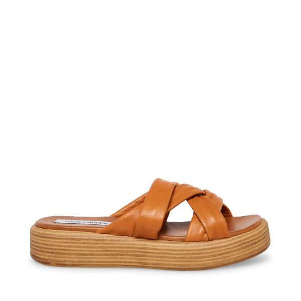 Steve Madden Salita Tan Lær Sandaler Dame Brune | SM-397GM