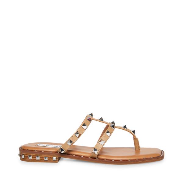 Steve Madden Sandie Tan Sandaler Dame Brune | SM-961GV