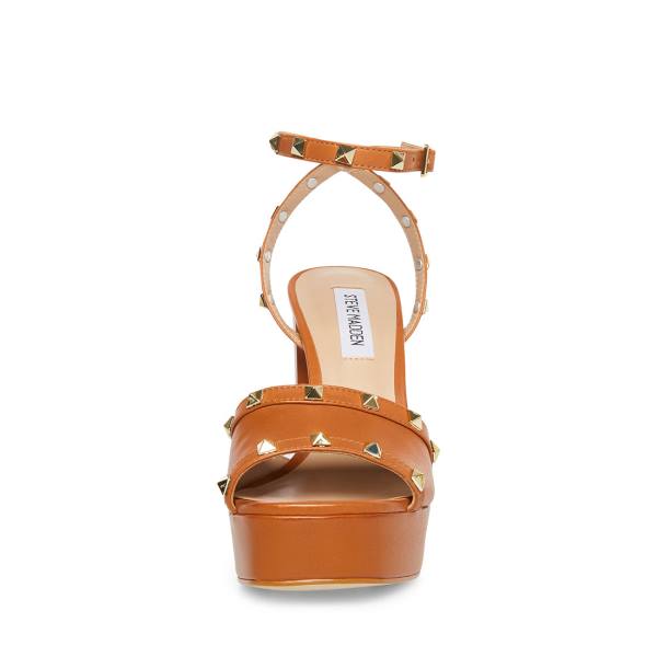 Steve Madden Tabari Cognac Lær Heel Høye Hæler Dame Brune | SM-023SZ